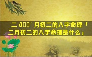 二 🌴 月初二的八字命理「二月初二的八字命理是什么」